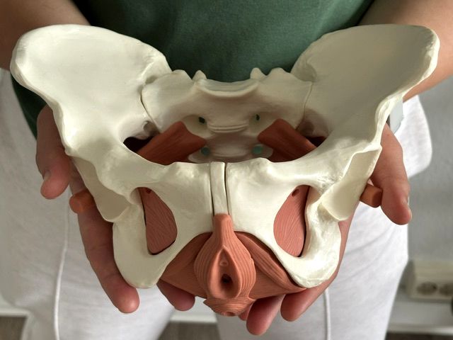 Beckenbodenrehabilitation ist ein wichtiger Bestandteil der physiotherapeutischen Behandlung